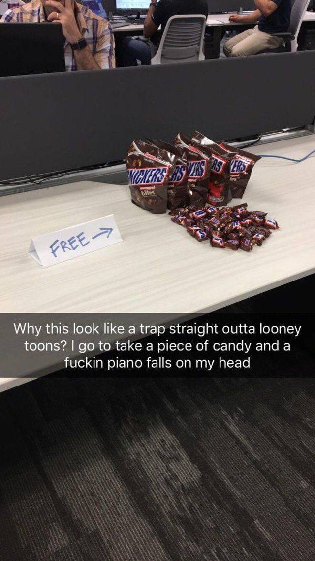 Daily Picdump