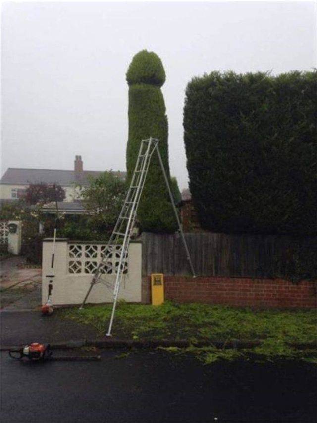 Daily Picdump