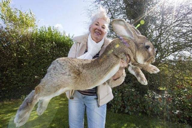 Morning Picdump
