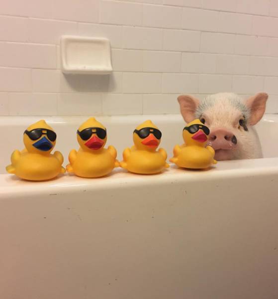 morning picdump 54 pics 3.html - 54 HD Photos | Premium Gallery 2018