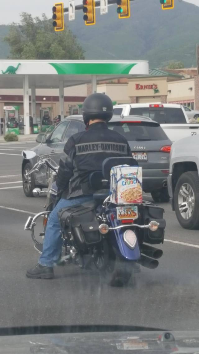 morning picdump 54 pics 3.html - 54 HD Photos | Premium Gallery 2018