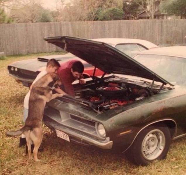 Daily Picdump [WEEKEND EDITION]