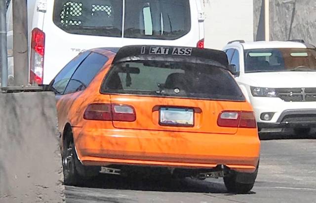 Daily Picdump [WEEKEND EDITION]