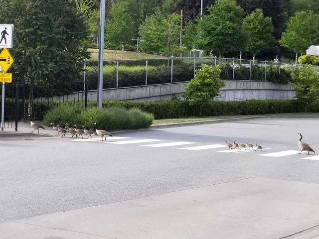 daily picdump weekend edition 83 pics 35.html - 83 HD Photos | Premium Gallery 2018