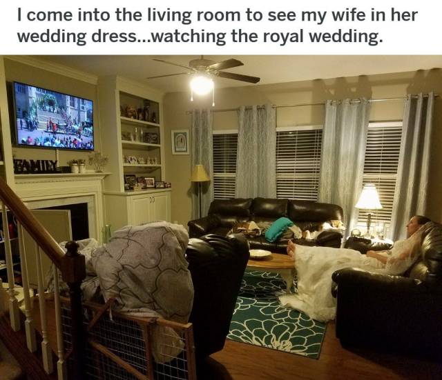 daily picdump weekend edition 83 pics 35.html - 83 HD Photos | Premium Gallery 2018