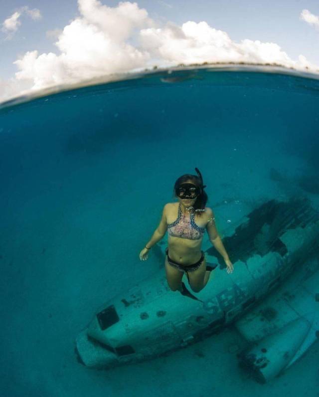 Daily Picdump [WEEKEND EDITION]