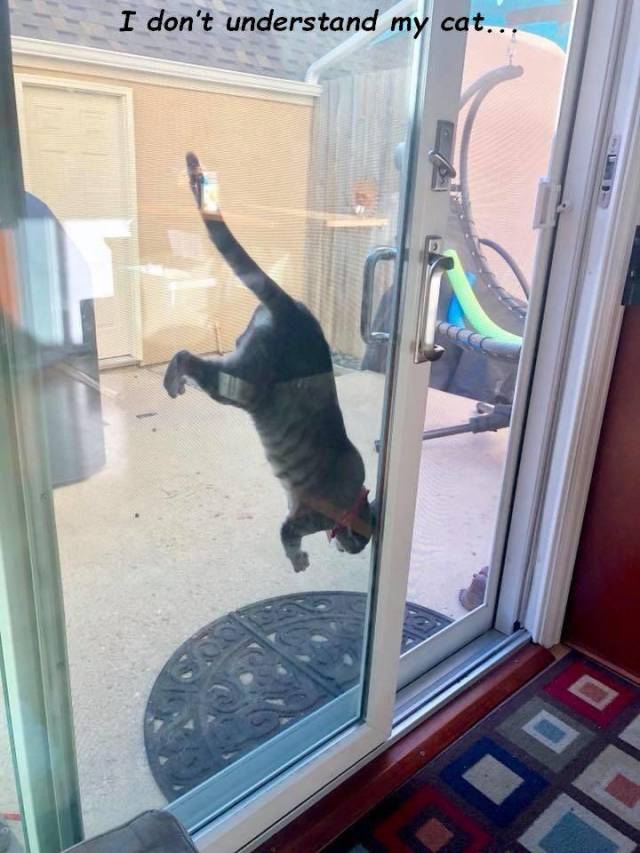 Daily Picdump [WEEKEND EDITION]