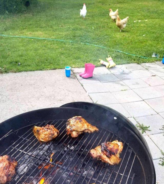 daily picdump weekend edition 83 pics 35.html - 83 HD Photos | Premium Gallery 2018