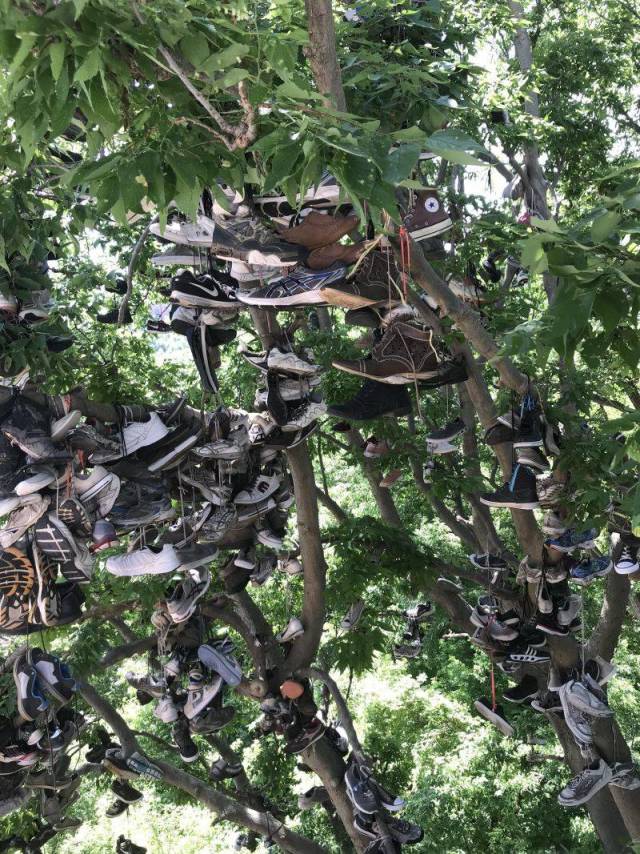 daily picdump weekend edition 83 pics 35.html - 83 HD Photos | Premium Gallery 2018