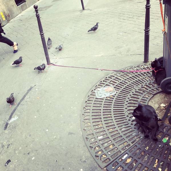 daily picdump 109 pics 27.html - 109 HD Photos | Premium Gallery 2018