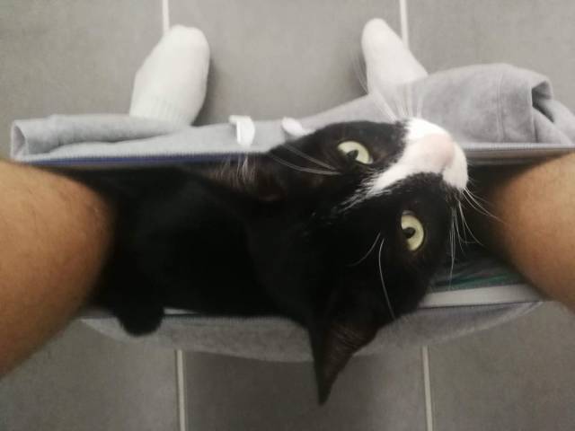 daily picdump 109 pics 27.html - 109 HD Photos | Premium Gallery 2018