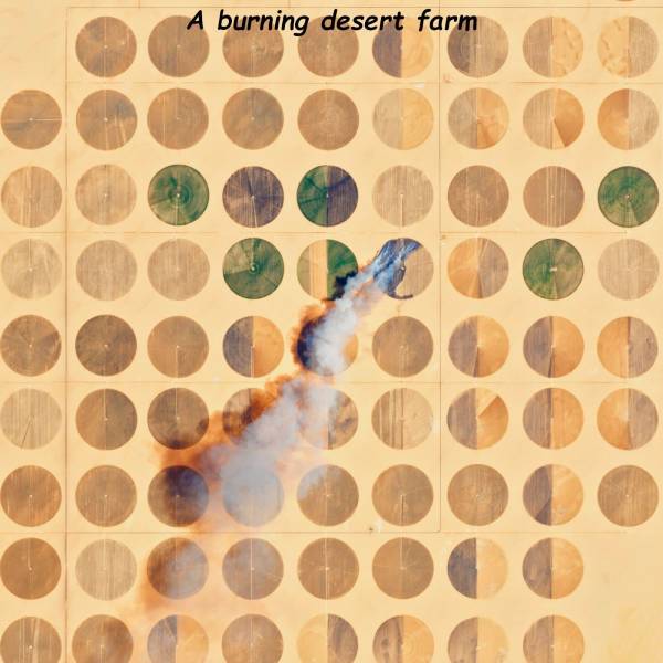 daily picdump 109 pics 27.html - 109 HD Photos | Premium Gallery 2018