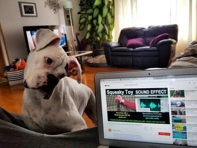 daily picdump 109 pics 27.html - 109 HD Photos | Premium Gallery 2018