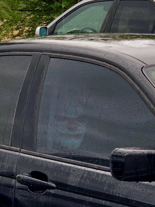 daily picdump 109 pics 27.html - 109 HD Photos | Premium Gallery 2018