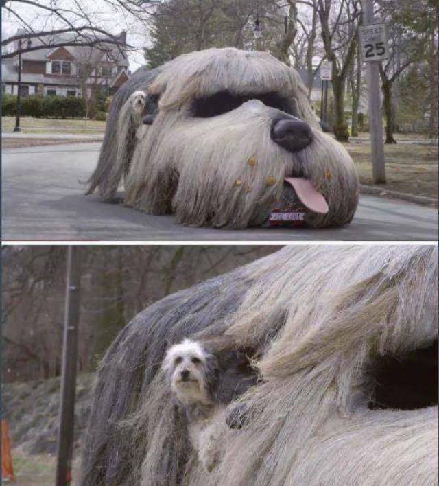 daily picdump 109 pics 27.html - 109 HD Photos | Premium Gallery 2018