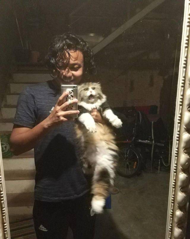 daily picdump 109 pics 27.html - 109 HD Photos | Premium Gallery 2018