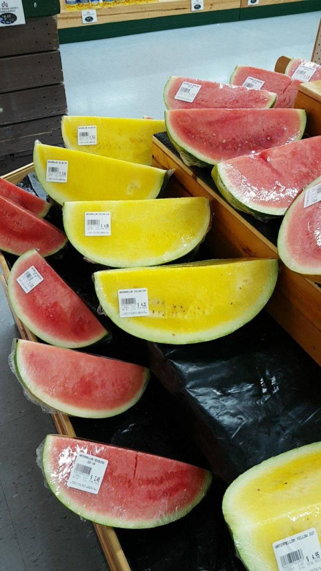 daily picdump 109 pics 27.html - 109 HD Photos | Premium Gallery 2018