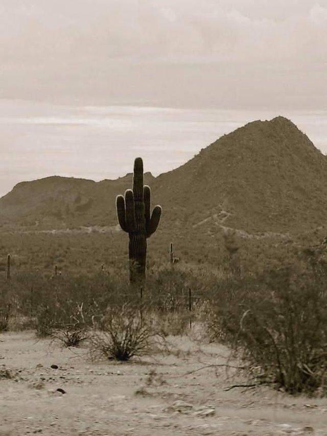 daily picdump 109 pics 27.html - 109 HD Photos | Premium Gallery 2018