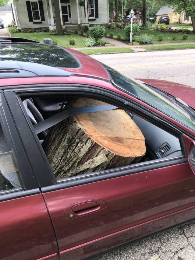 daily picdump 109 pics 27.html - 109 HD Photos | Premium Gallery 2018