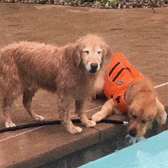 Don’t Be Jealous – It’s Too Obvious