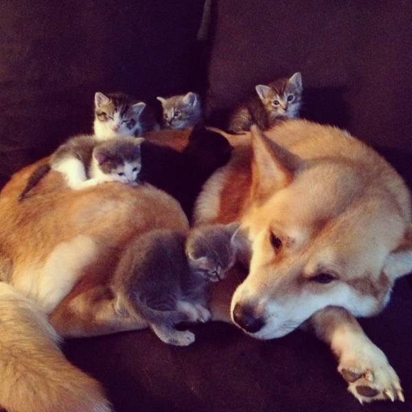 Daily Picdump