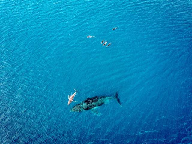 daily picdump 101 pics 21.html - 101 HD Photos | Premium Gallery 2018