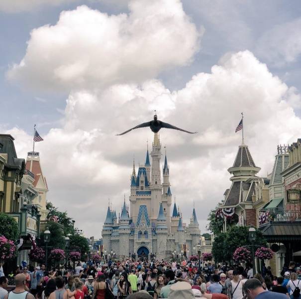 daily picdump 101 pics 21.html - 101 HD Photos | Premium Gallery 2018