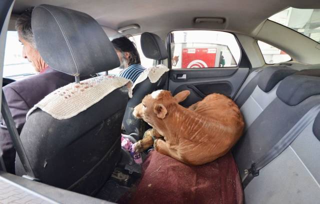 daily picdump 101 pics 21.html - 101 HD Photos | Premium Gallery 2018