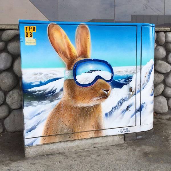 daily picdump 101 pics 21.html - 101 HD Photos | Premium Gallery 2018