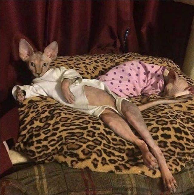 daily picdump 101 pics 21.html - 101 HD Photos | Premium Gallery 2018