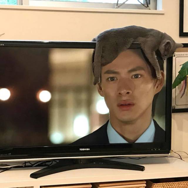 daily picdump 101 pics 21.html - 101 HD Photos | Premium Gallery 2018