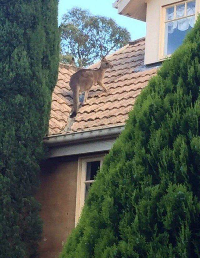 daily picdump 101 pics 21.html - 101 HD Photos | Premium Gallery 2018