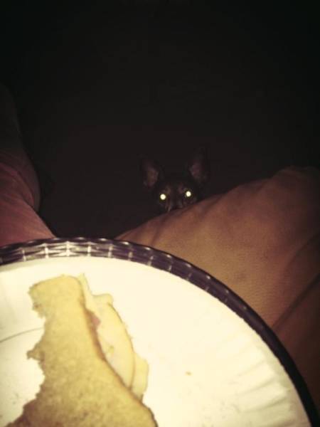 Don’t Be Jealous – It’s Too Obvious