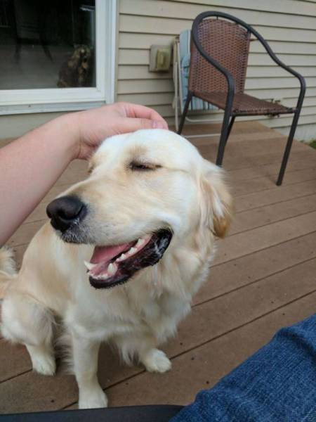 Don’t Be Jealous – It’s Too Obvious