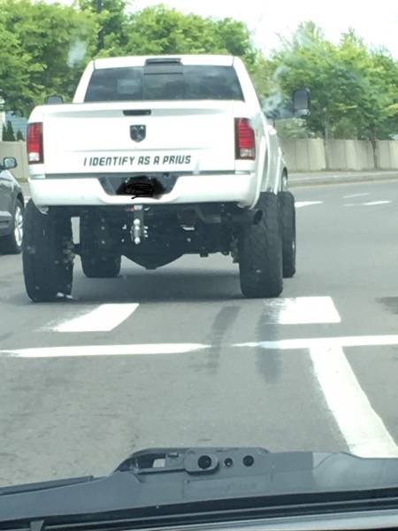morning picdump 50 pics 2.html - 50 HD Photos | Premium Gallery 2018
