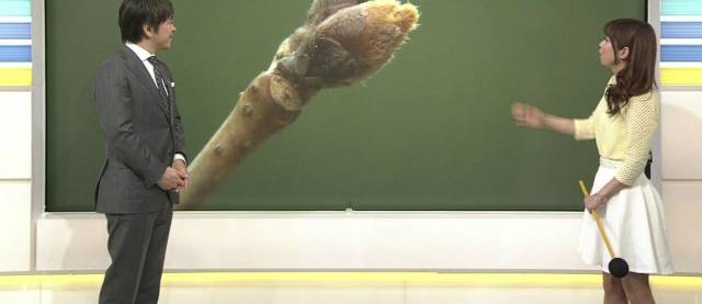 daily picdump 101 pics 51.html - 101 HD Photos | Premium Gallery 2018