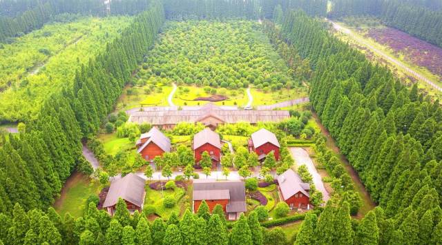 daily picdump 101 pics 51.html - 101 HD Photos | Premium Gallery 2018