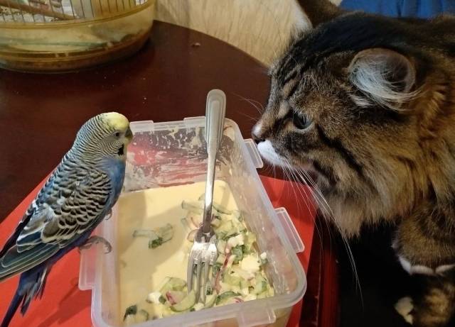 daily picdump 101 pics 51.html - 101 HD Photos | Premium Gallery 2018