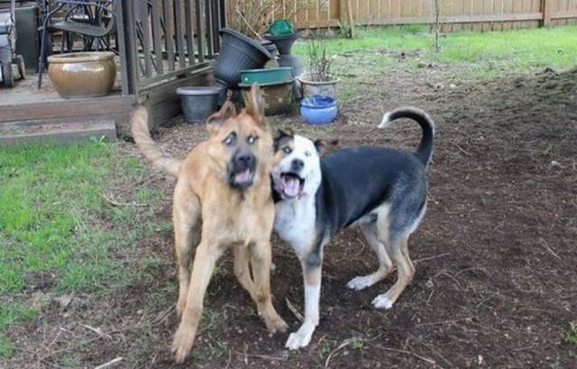 daily picdump 101 pics 51.html - 101 HD Photos | Premium Gallery 2018