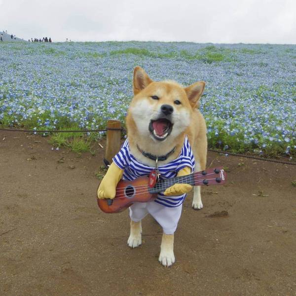 daily picdump 101 pics 51.html - 101 HD Photos | Premium Gallery 2018