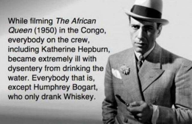 daily picdump 101 pics 51.html - 101 HD Photos | Premium Gallery 2018