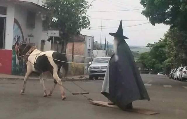 daily picdump 101 pics 51.html - 101 HD Photos | Premium Gallery 2018