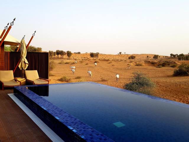 daily picdump 101 pics 51.html - 101 HD Photos | Premium Gallery 2018