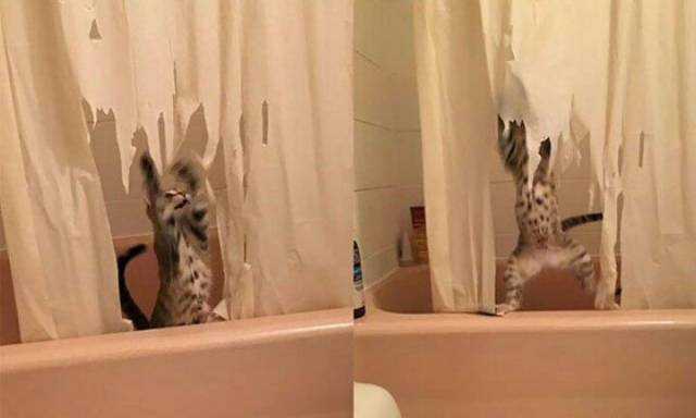 daily picdump 101 pics 51.html - 101 HD Photos | Premium Gallery 2018