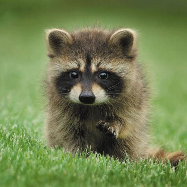 daily picdump 101 pics 51.html - 101 HD Photos | Premium Gallery 2018