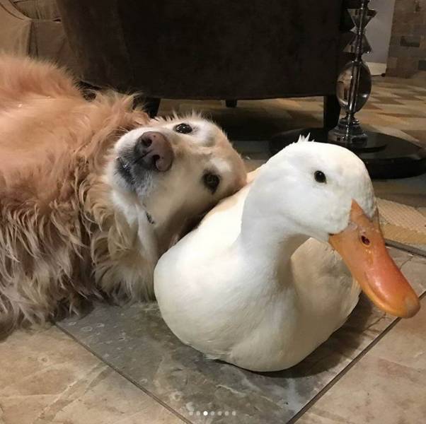 daily picdump 101 pics 51.html - 101 HD Photos | Premium Gallery 2018