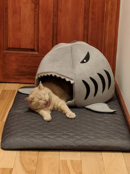 morning picdump 54 pics 21.html - 54 HD Photos | Premium Gallery 2018