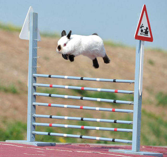 morning picdump 54 pics 21.html - 54 HD Photos | Premium Gallery 2018