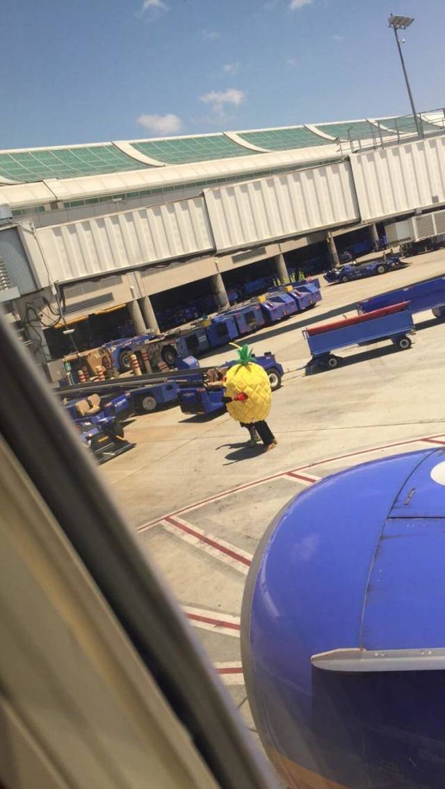 morning picdump 54 pics 21.html - 54 HD Photos | Premium Gallery 2018