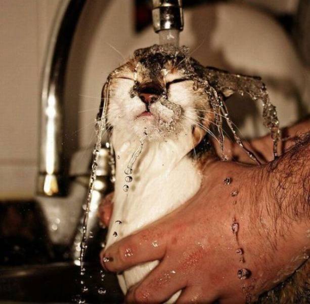 daily picdump 108 pics 27.html - 108 HD Photos | Premium Gallery 2018